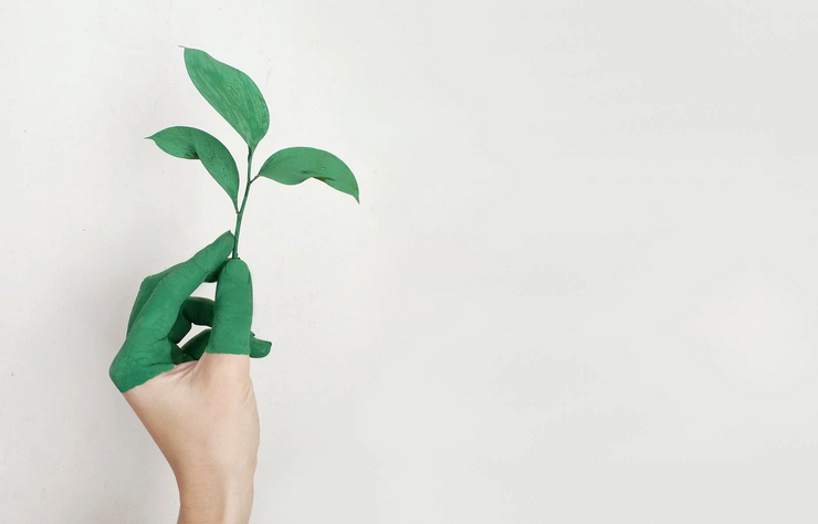 eco green